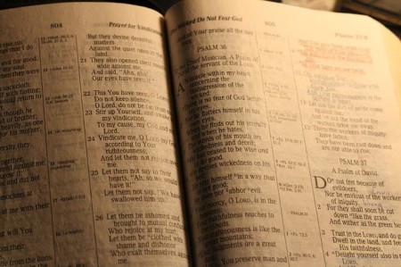 Bible - Public Domain