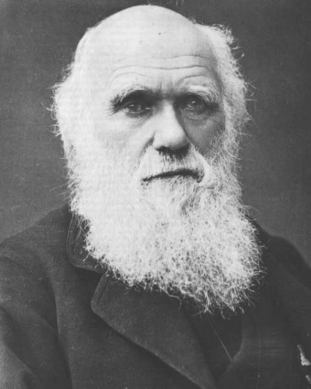 Charles Darwin Creation Evolution