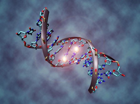 DNA - Photo by Christoph Bock