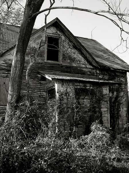 Abandoned_House - Photo by Daniel Leininger
