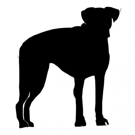 Dog Silhouette - Public Domain