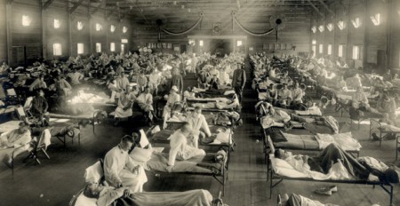 Flu Pandemic