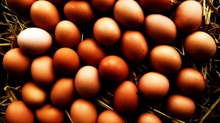 Organic Eggs - Public Domain