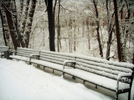 Park Benches In Winter - Public Domain