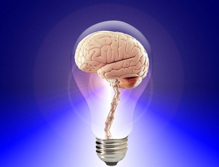 Human Brain In A Lightbulb - Public Domain