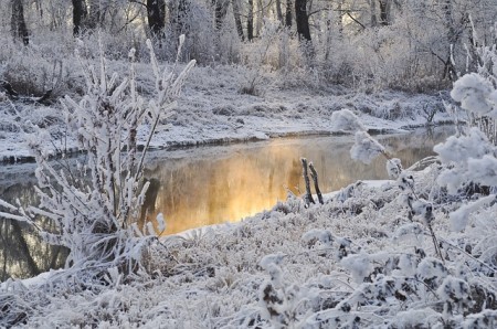 Winter - Public Domain