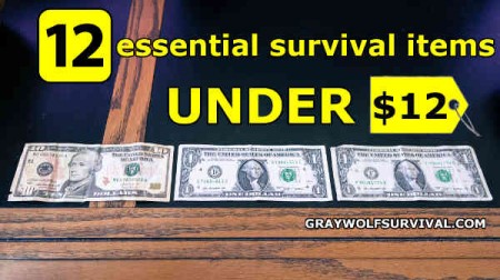 12 essential survival items under 12 dollars