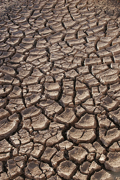 Drought - Photo by Tomas Castelazo