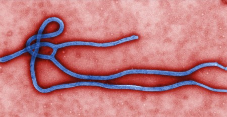 Ebola - CDC