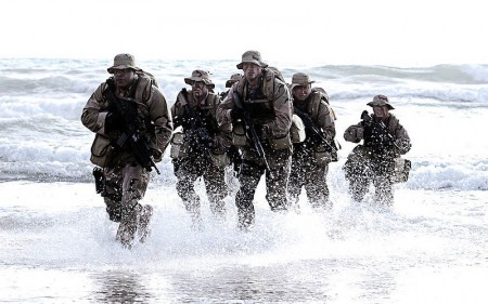 Seal Team Coming Out Of The Water - Public Domain