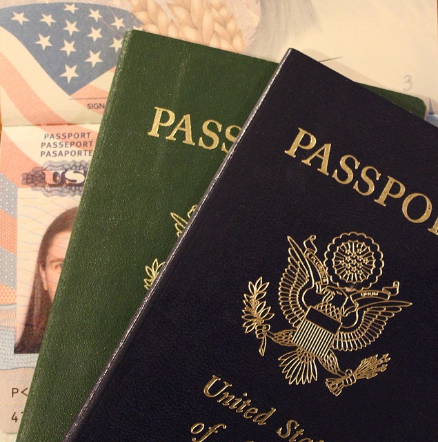 Passport - Public Domain