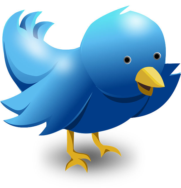 Twitter - Public Domain