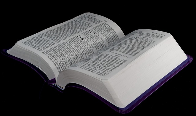 Bible On A Black Background - Public Domain