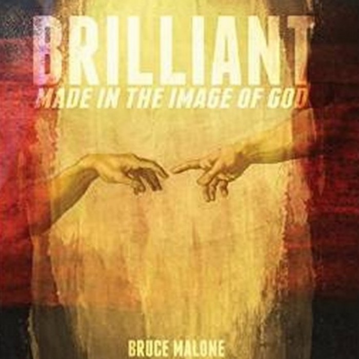 Brilliant by Bruce Malone