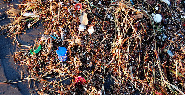 Ocean Plastic - Photo by Kevin Krejci on Flickr