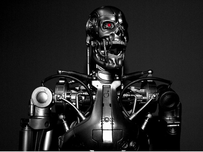 Terminator - Photo by Stephen Bowler