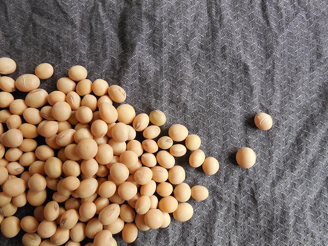 Soybeans - Public Domain