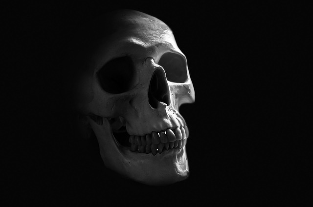 Death Skull - Public Domain