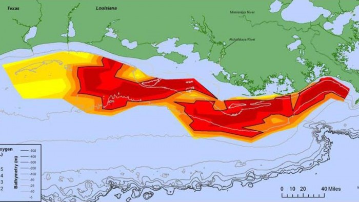 Gulf of Mexico Dead Zone