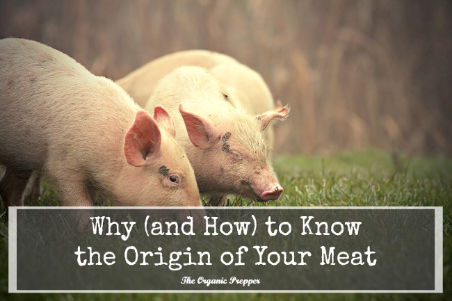 Why-and-How-to-Know-the-Origin-of-Your-Meat