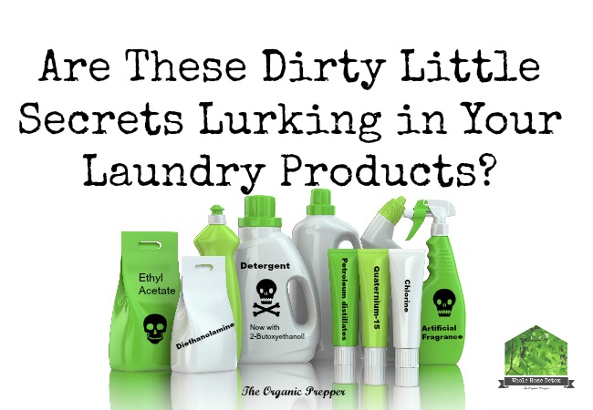 Are These Dirty Little Secrets Lurking in Your Toxic Laundry Products