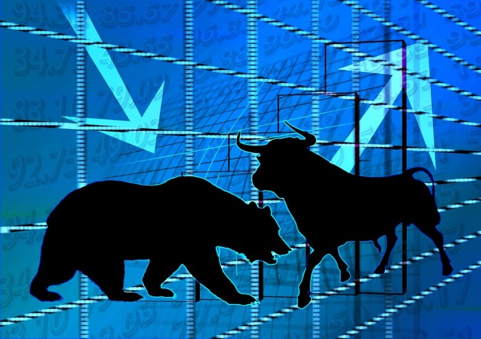 Stock Market Bear Bull - Public Domain