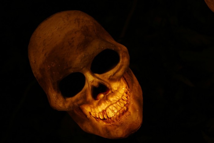 Skull Smiling - Public Domain