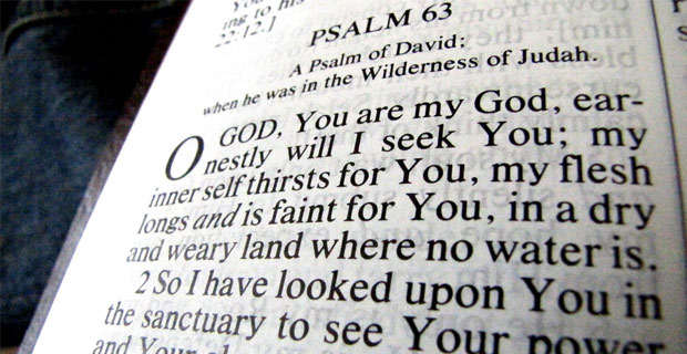 Bible - Photo by Savio Sebastian on Flickr