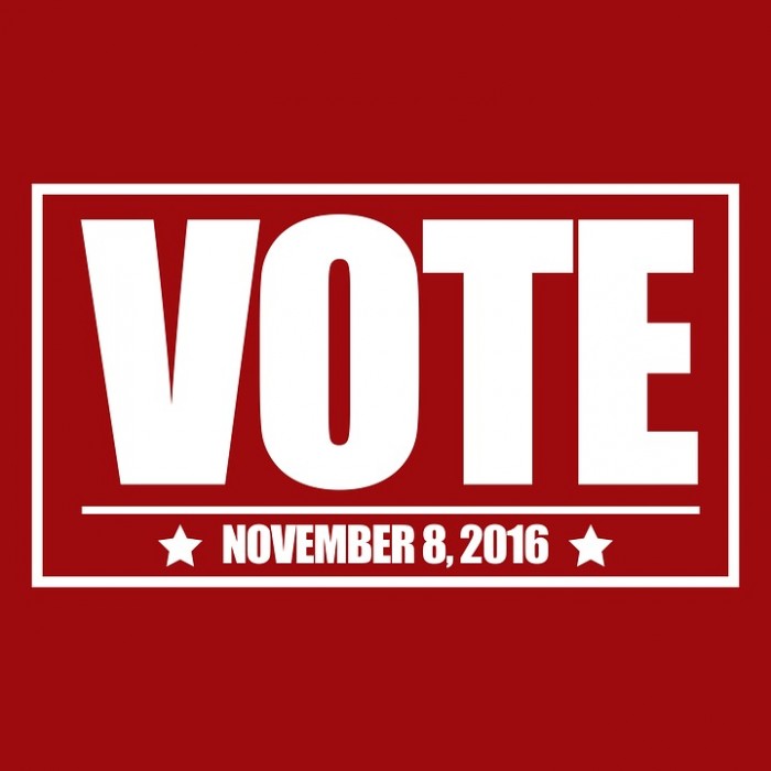 vote-november-8-public-domain