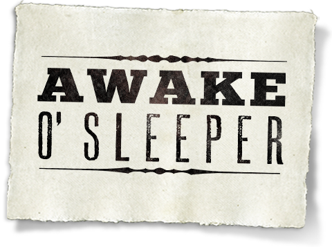 awake-o-sleeper