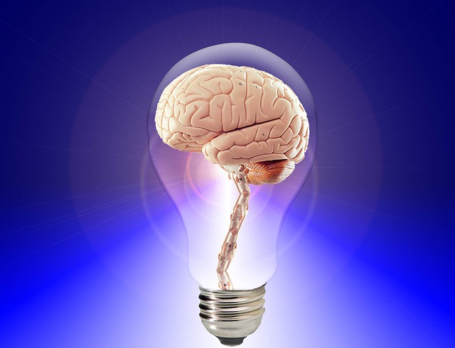 brain-public-domain