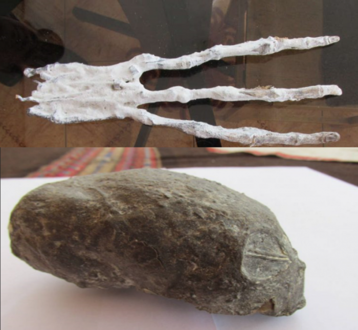 alien-head-and-hand-found-in-peru