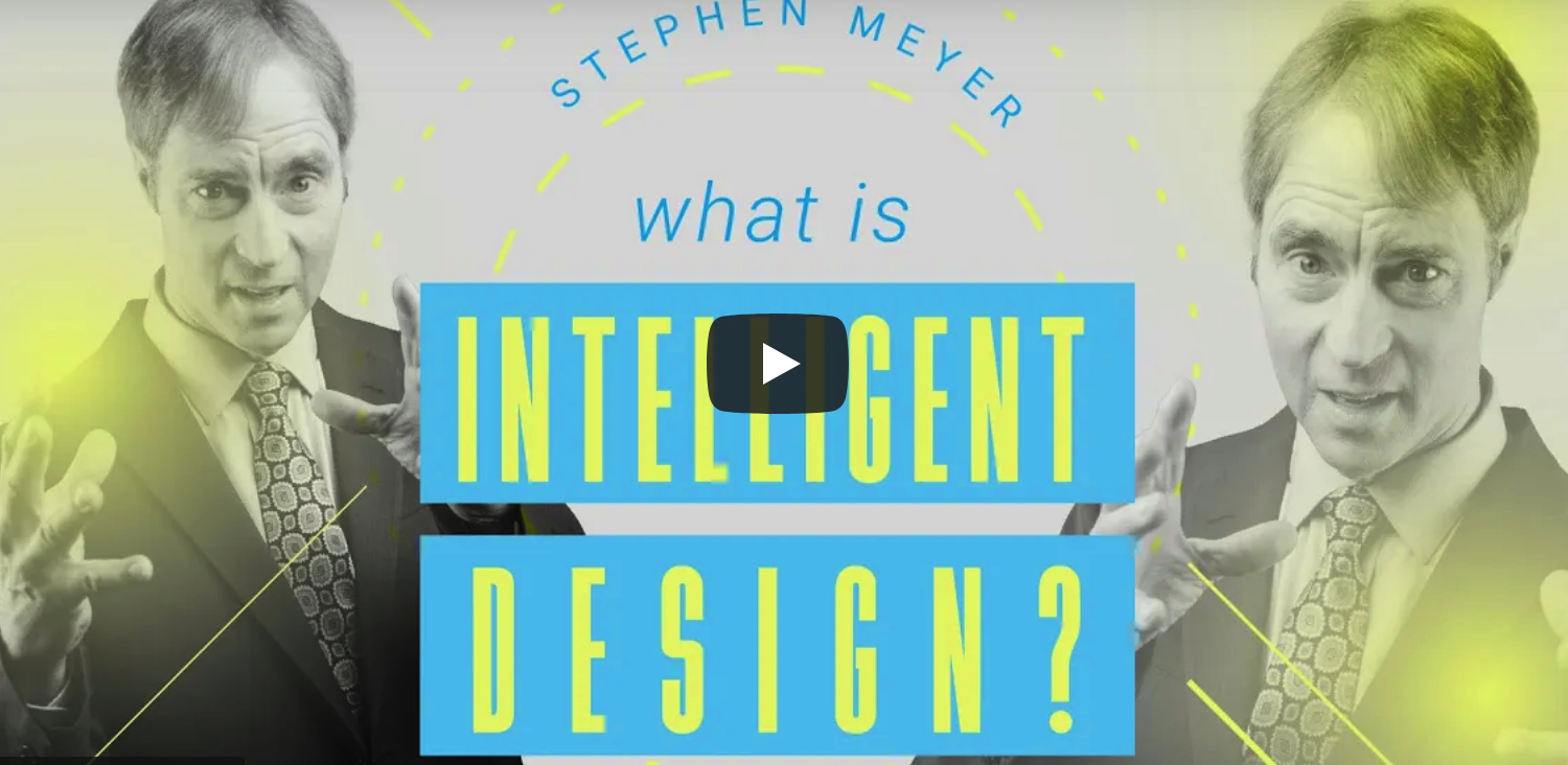 What Is Intelligent Design 